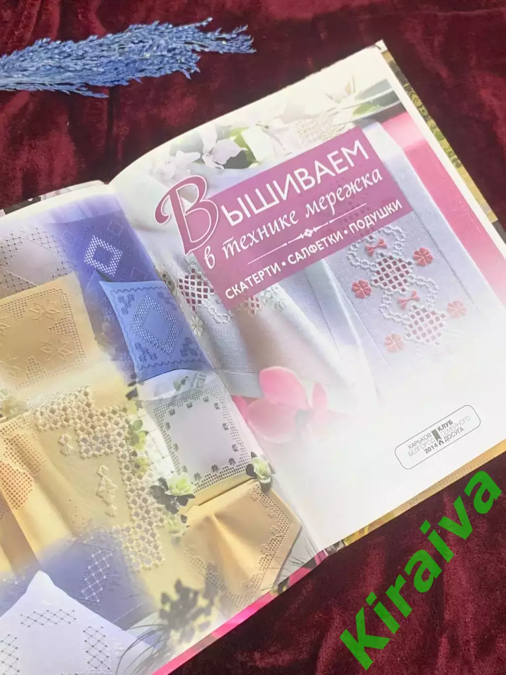 Книга по рукоделию «Вышиваем в технике сеть. 19 эффектных моделей» 2014 г. Н2560 3