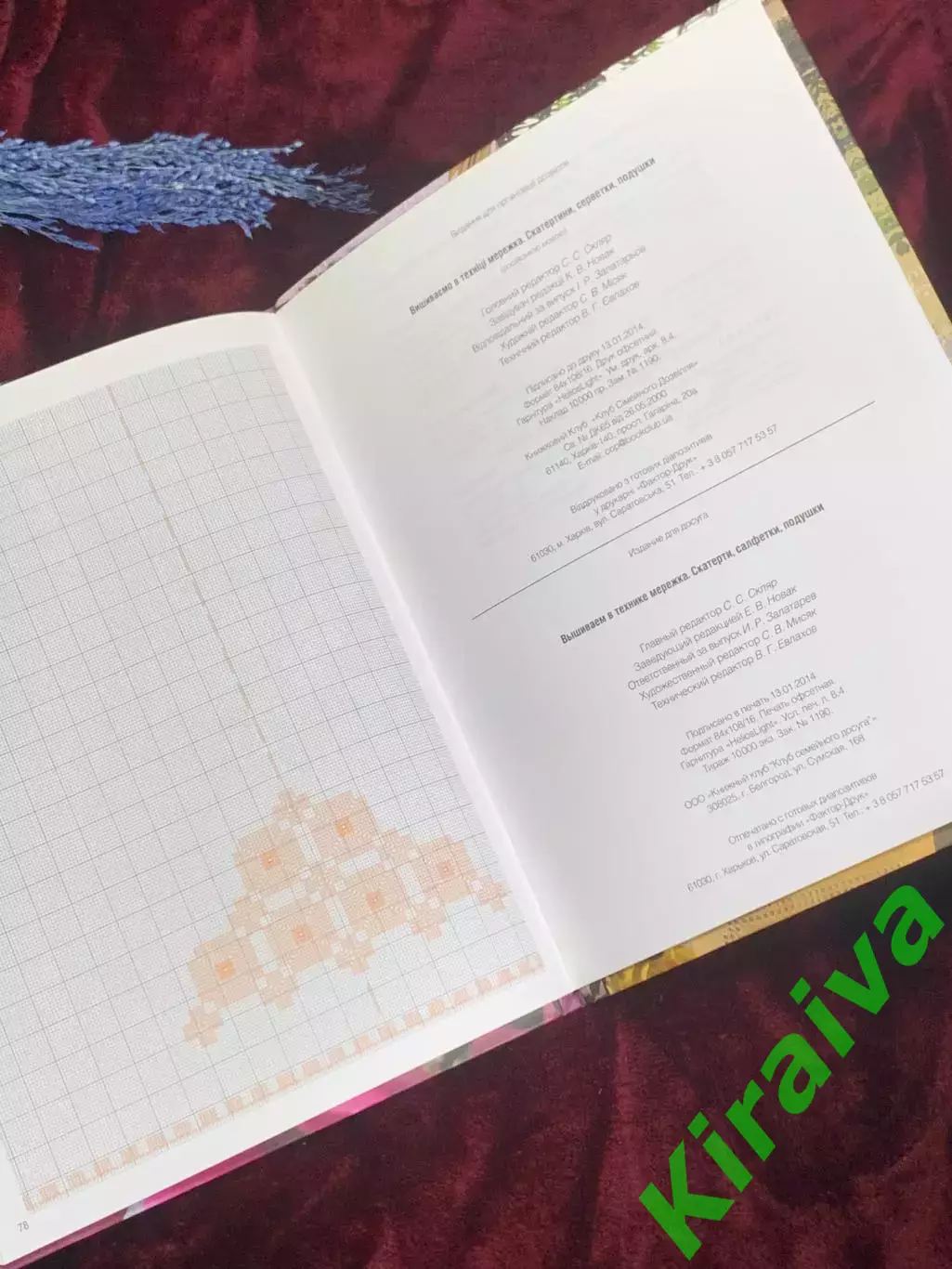 Книга по рукоделию «Вышиваем в технике сеть. 19 эффектных моделей» 2014 г. Н2560 6