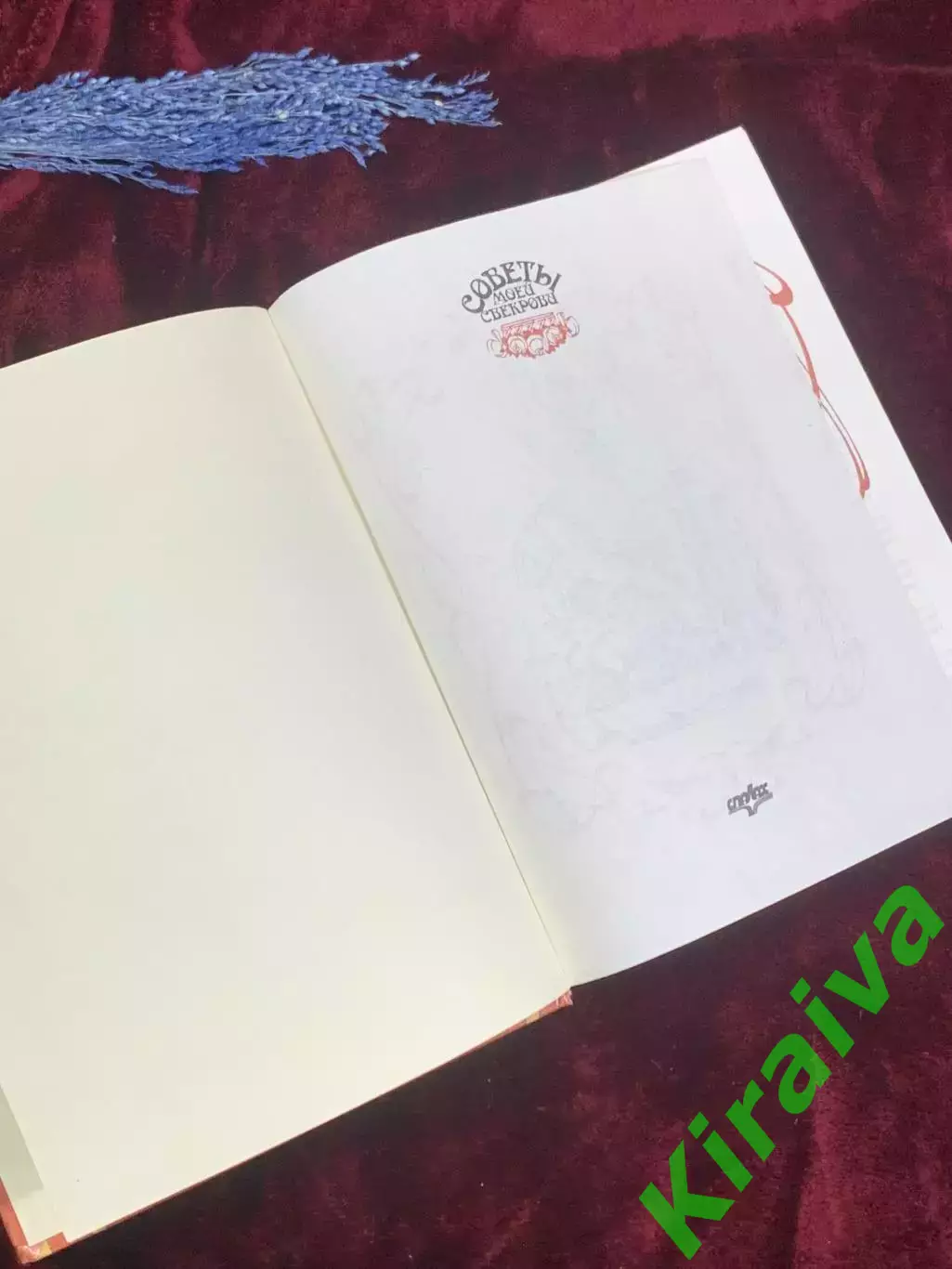 Книга по домоводству «Советы моей свекрови» Одинец А. А., 1997 г., Н2561 1