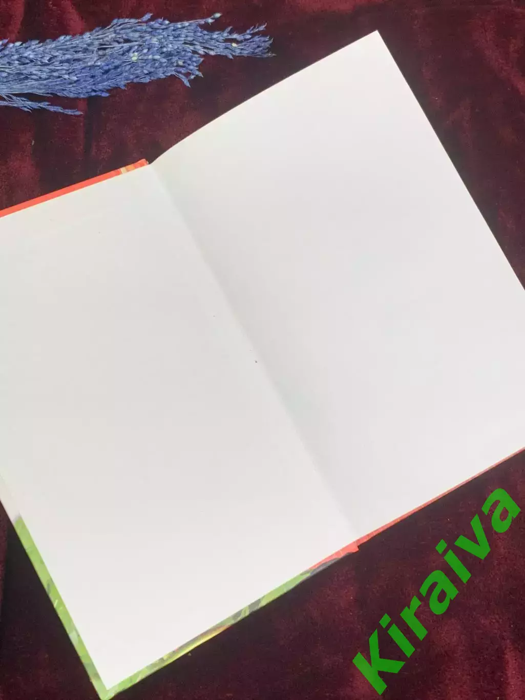 Книга «1000 блюд от салатов до десертов для праздников и каждый день» Н2564 1