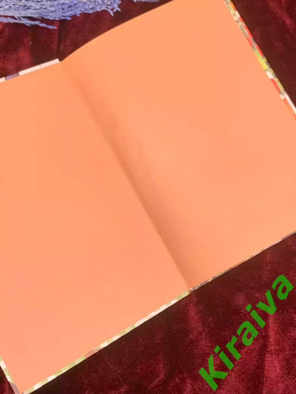 Книга «Деревенская кухня: простые и вкусные блюда в сковороде и горшоч Н2565 1