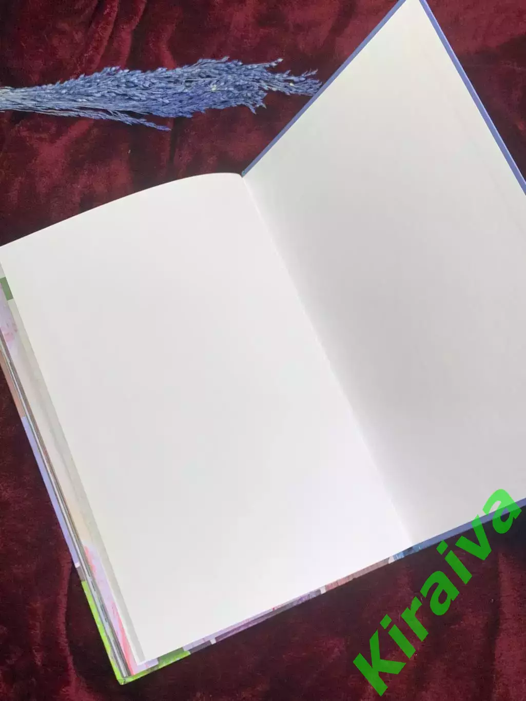 Книга кулинария «Лучшие блюда из курицы и потрошков» 2017 г., Н2566 6