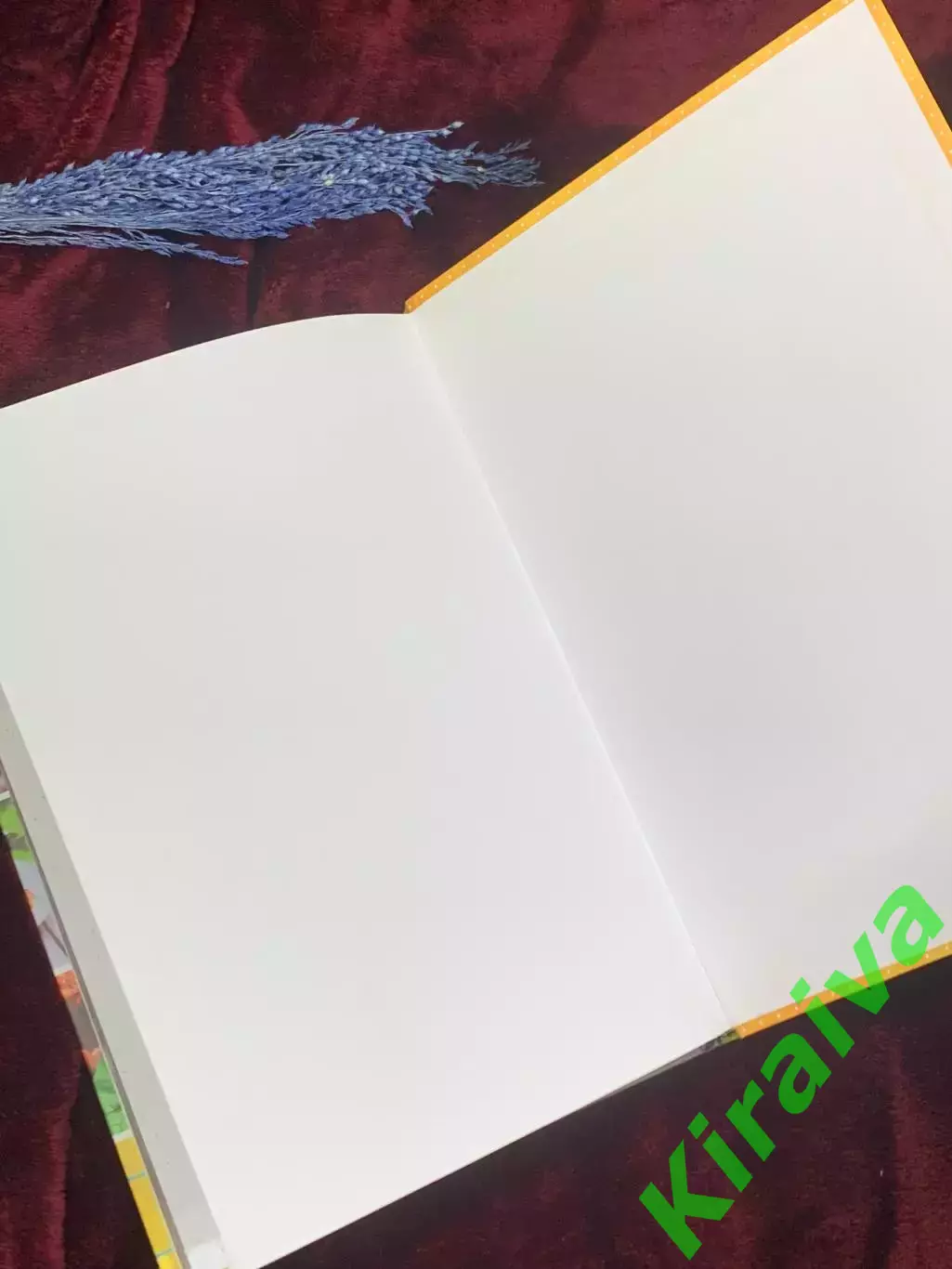 Книга кулинария «Запеканки, манники, лазаньи, фриттаты» 2017 г., Н2569 7