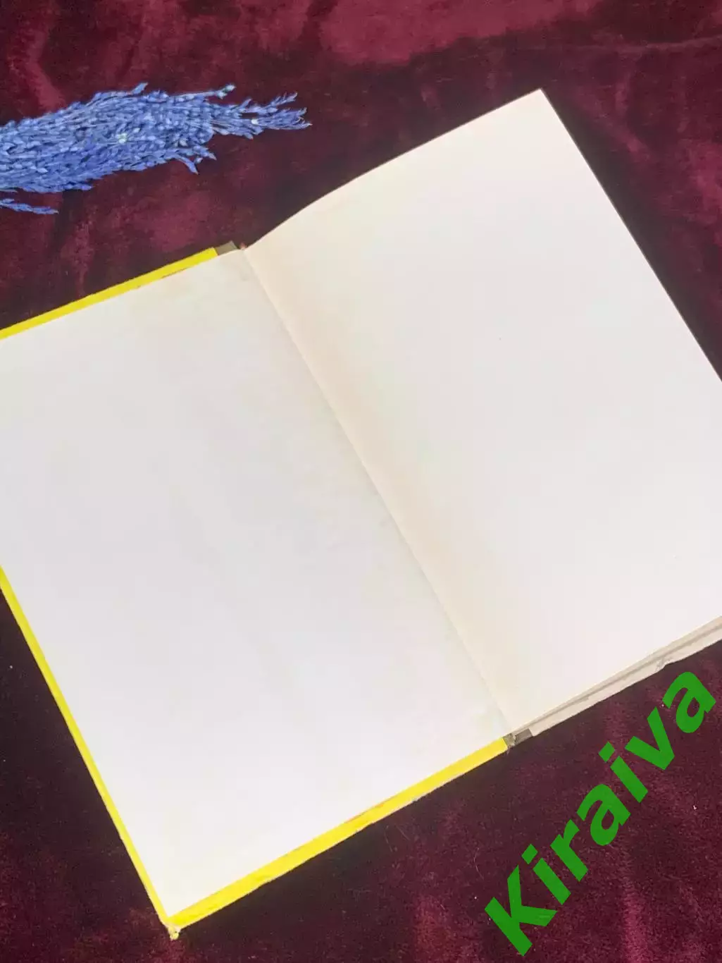 Книга роман «Бескрайние земли» Жоржи Амаду 1981 г., Киев, Н2571 1