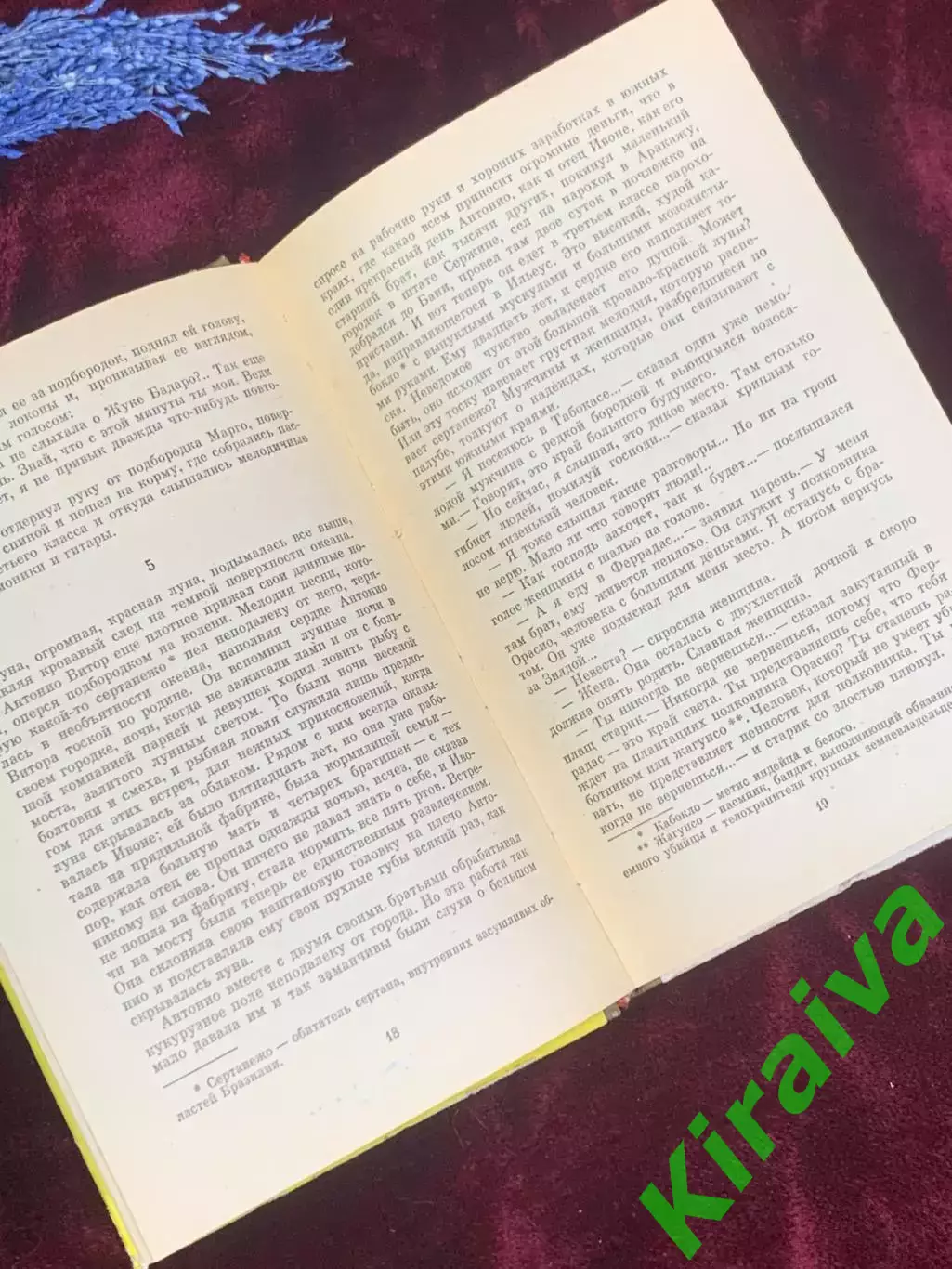 Книга роман «Бескрайние земли» Жоржи Амаду 1981 г., Киев, Н2571 4