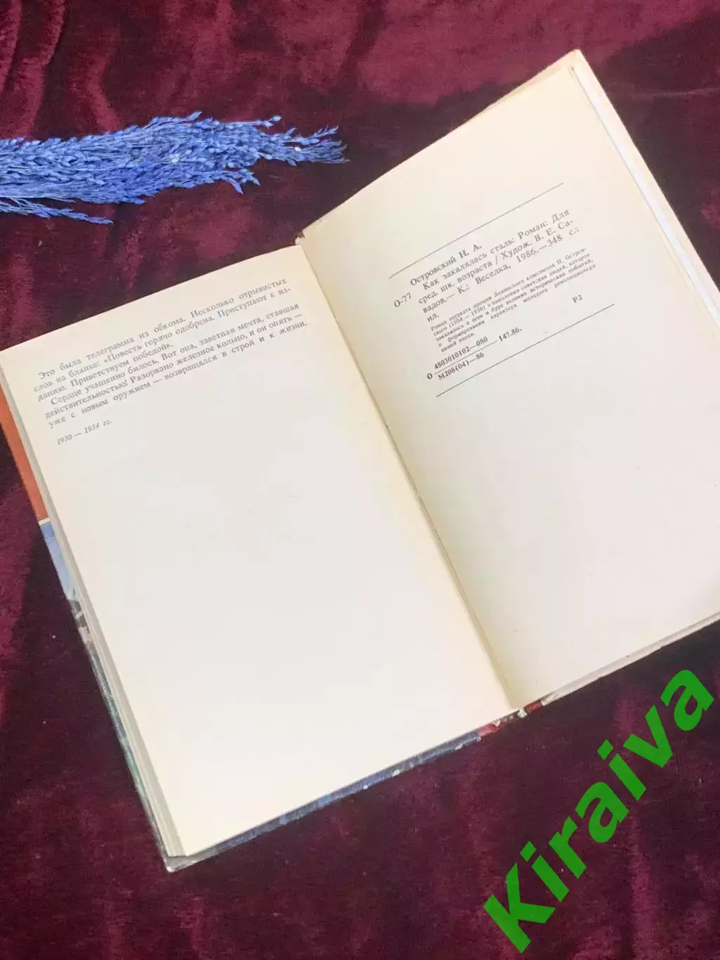 Книга роман «Как закалялась сталь» Николай Островский 1986 г., Киев, Н2572 5