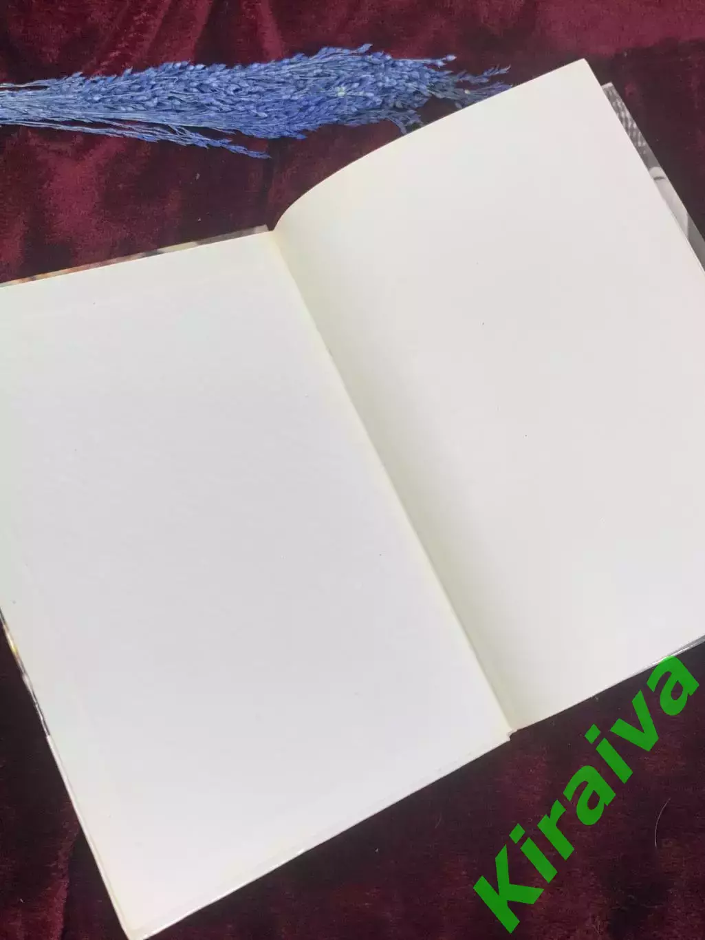 Книга документальная «Взлёт. Трагедия. Вечность» Сергей Параджанов, Киев, Н2574 1