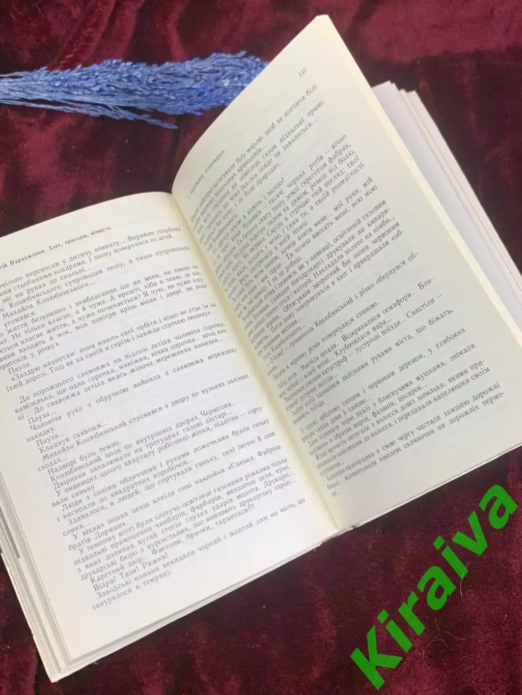 Книга документальная «Взлёт. Трагедия. Вечность» Сергей Параджанов, Киев, Н2574 4