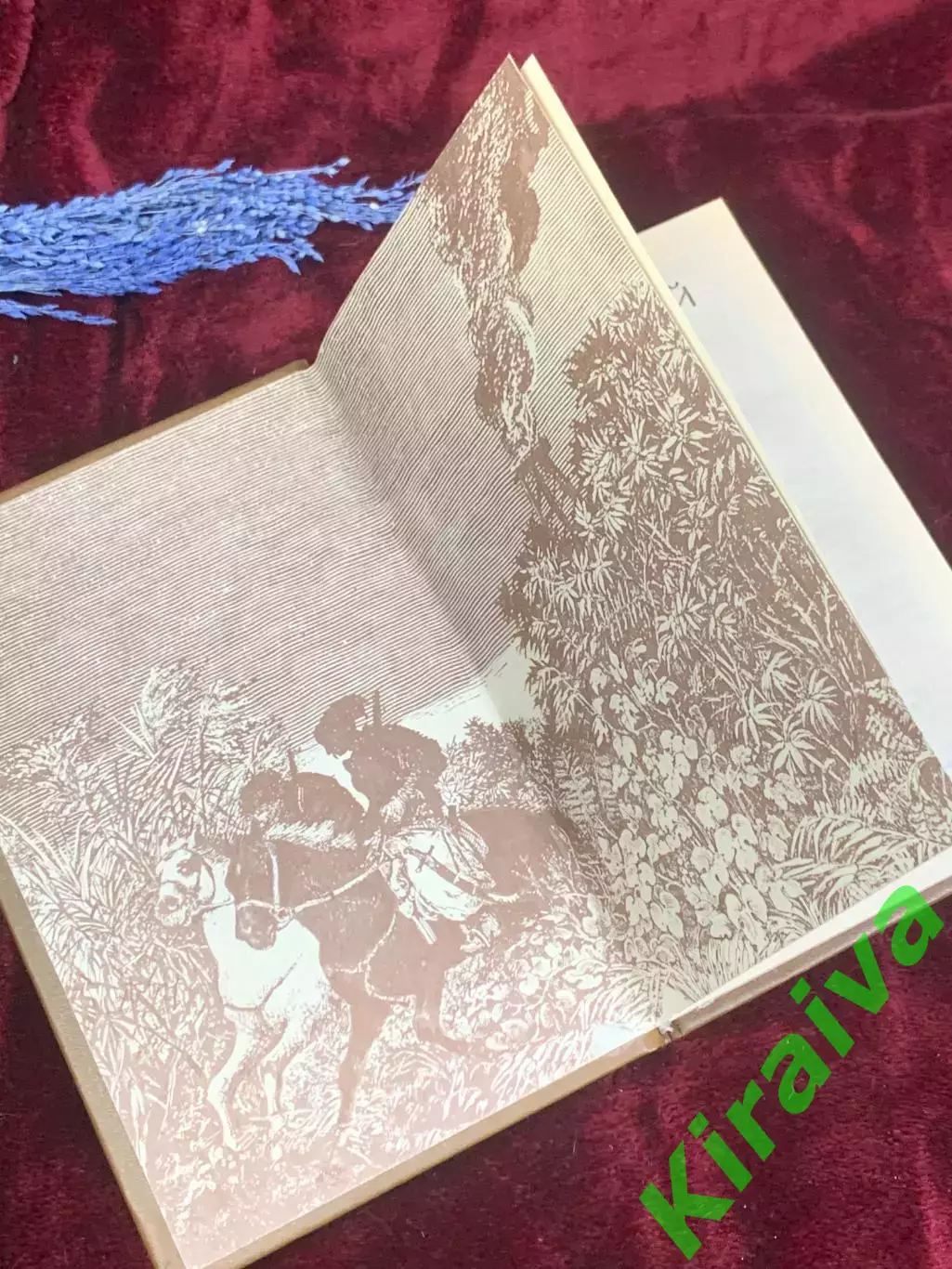 Книга збірка художніх творів «Предок» Михайло Грушевський, Київ, 1990 р., Н2575 1