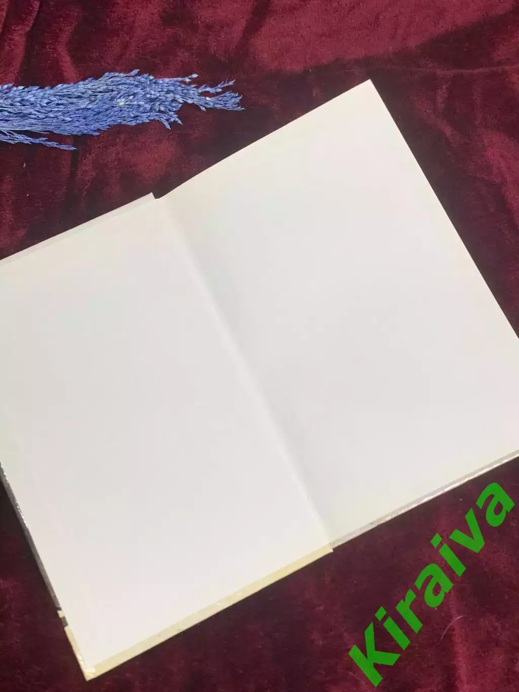 Книга роман «Высокосные города» Юрий Рогоза, 2000 г., Н2579 1