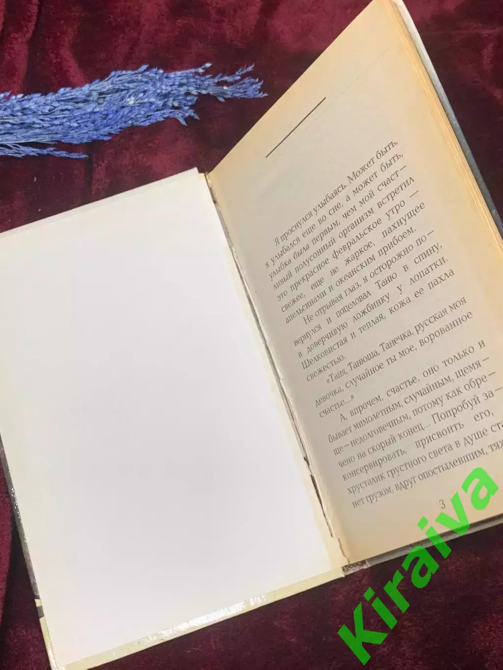 Книга роман «Высокосные города» Юрий Рогоза, 2000 г., Н2579 2