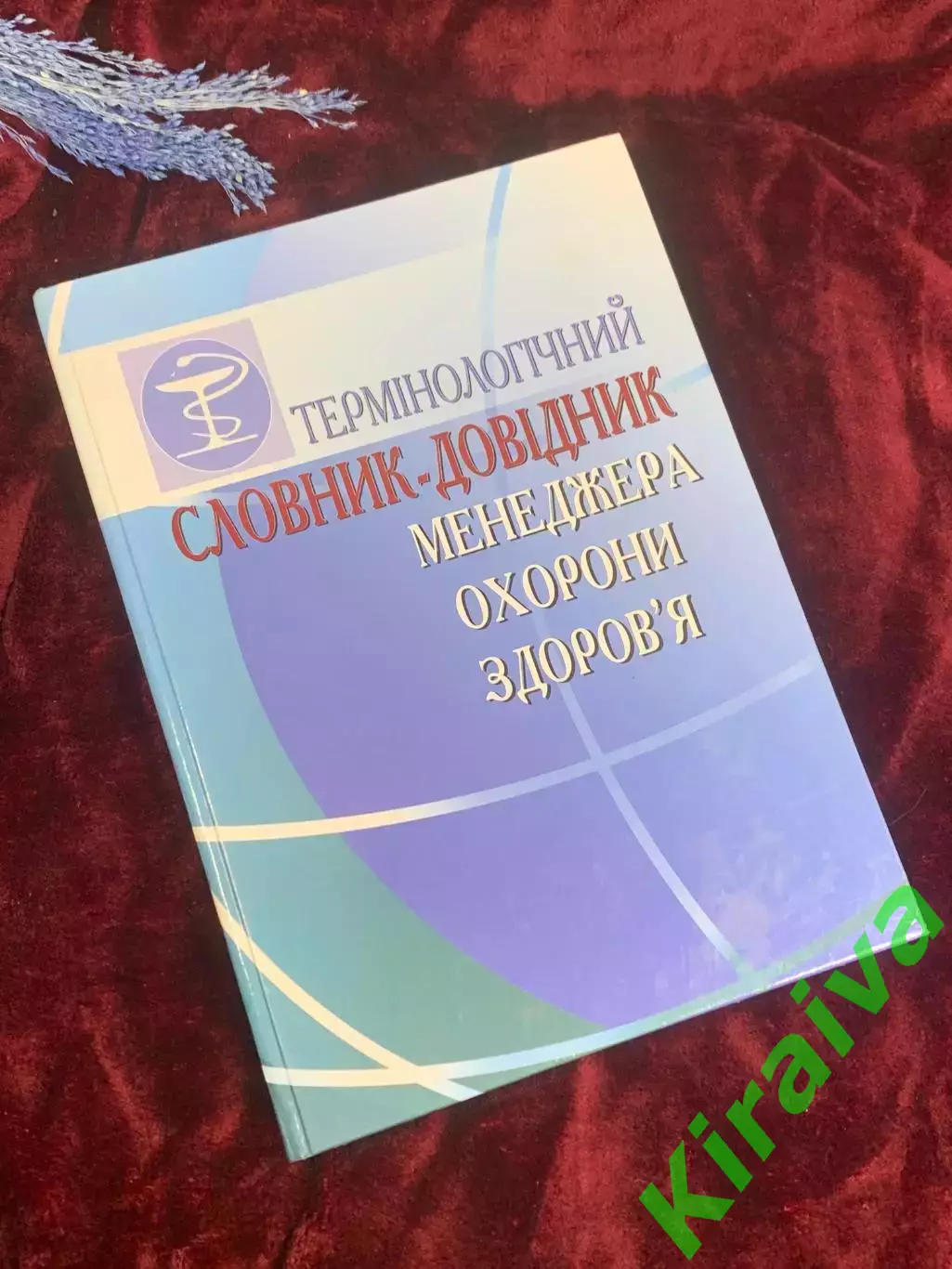Книга справочник «Терминологический словарь-справочник менеджеров здравоох Н2582