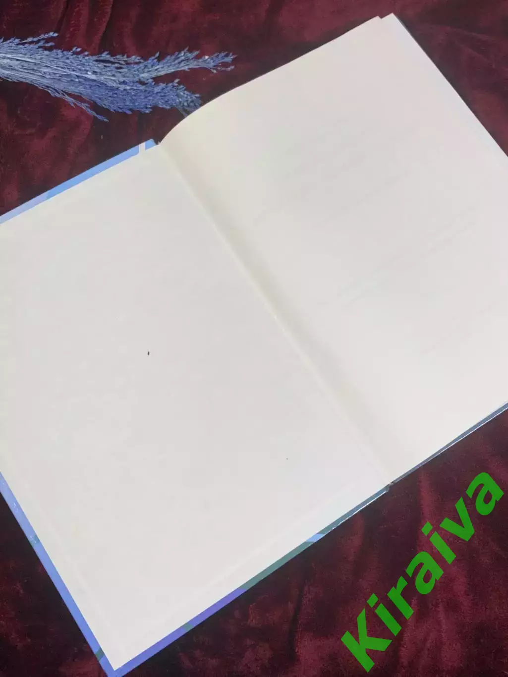 Книга справочник «Терминологический словарь-справочник менеджеров здравоох Н2582 1