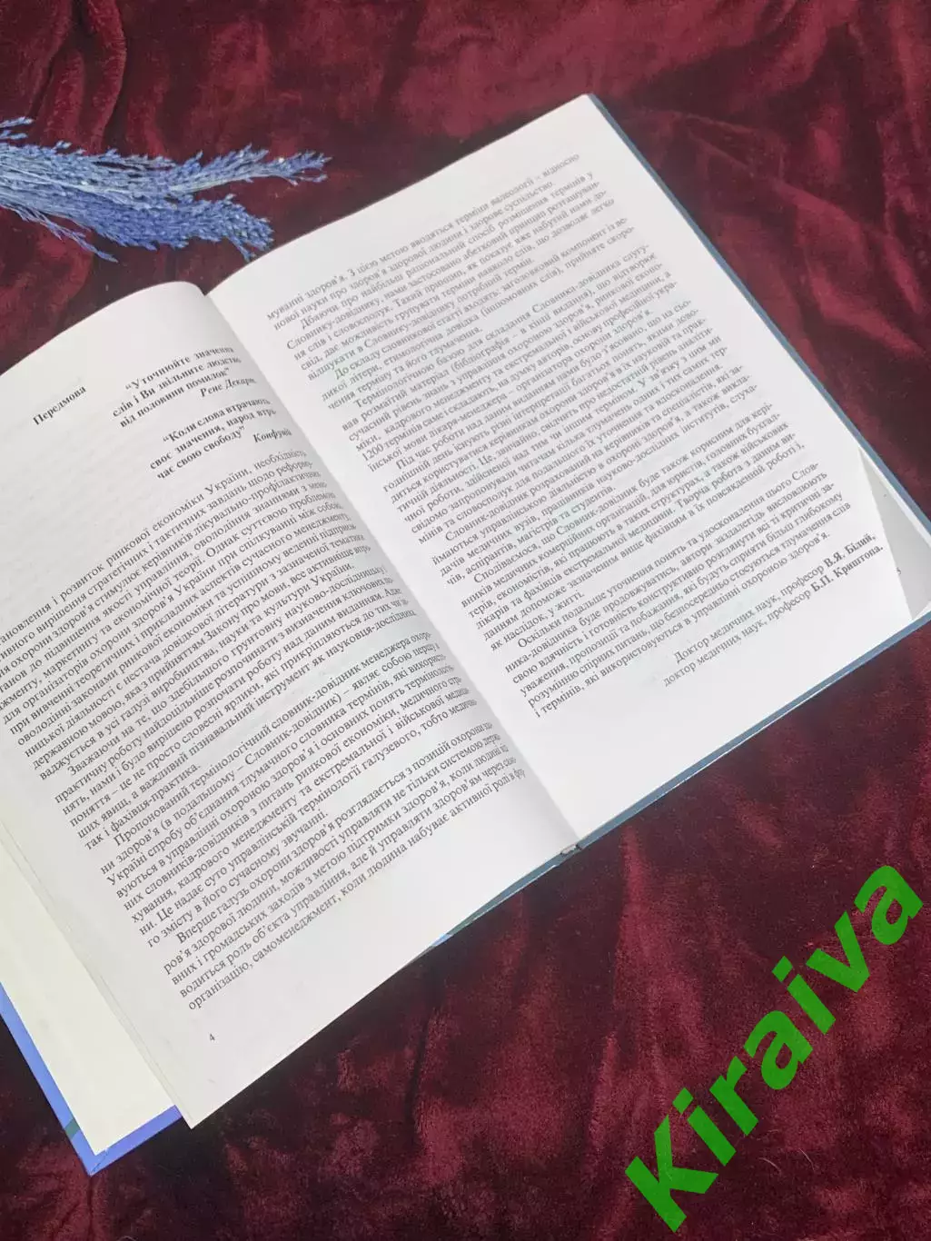 Книга справочник «Терминологический словарь-справочник менеджеров здравоох Н2582 4