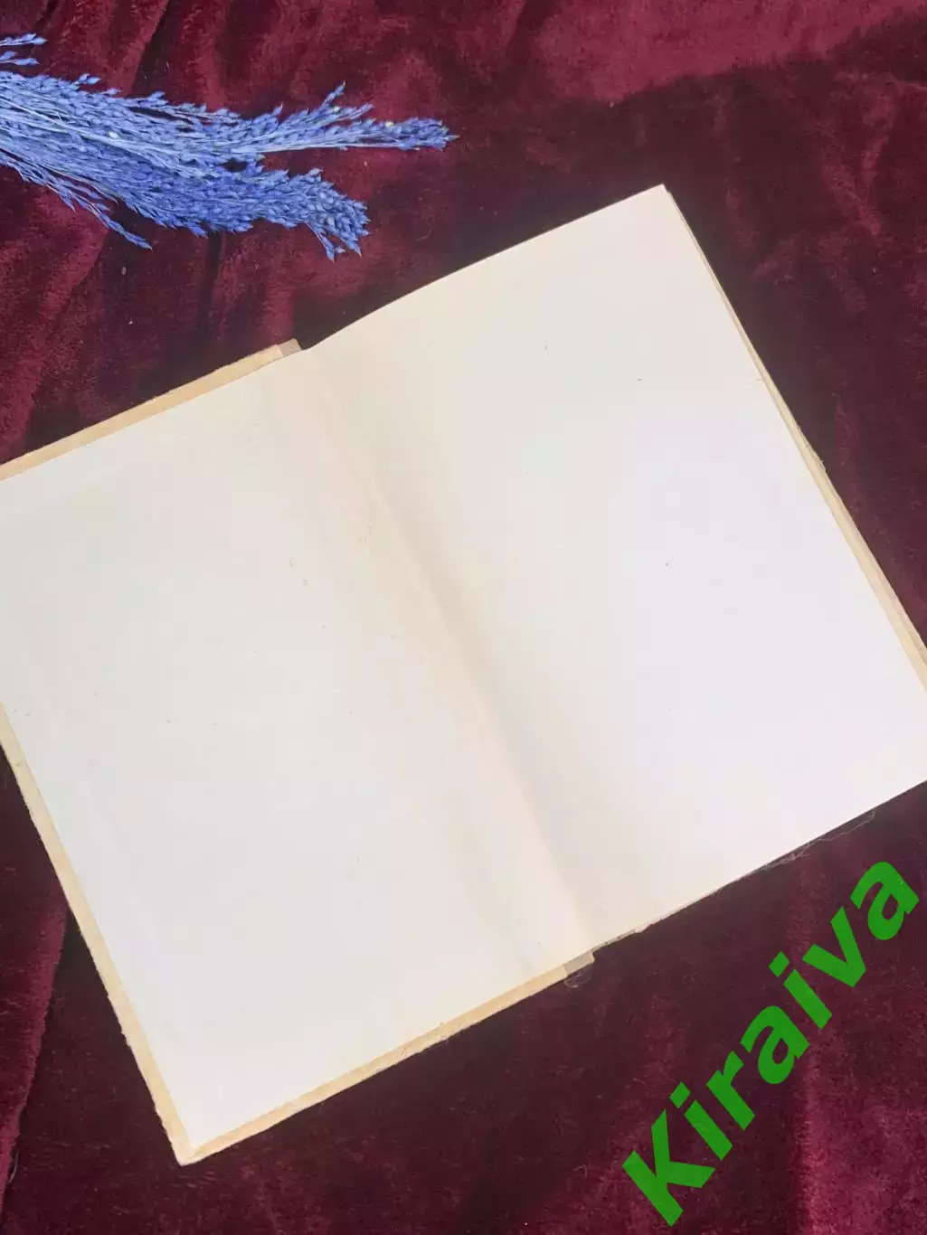 Книга кулинария «Любителі домашнього консервування» А. С. ЖвалевськийН2583 1