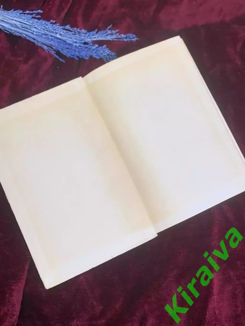 Книга кулинария «Сучасна українська кухня» С. А. Шалимов, Є. А. Шадура Н2584 1