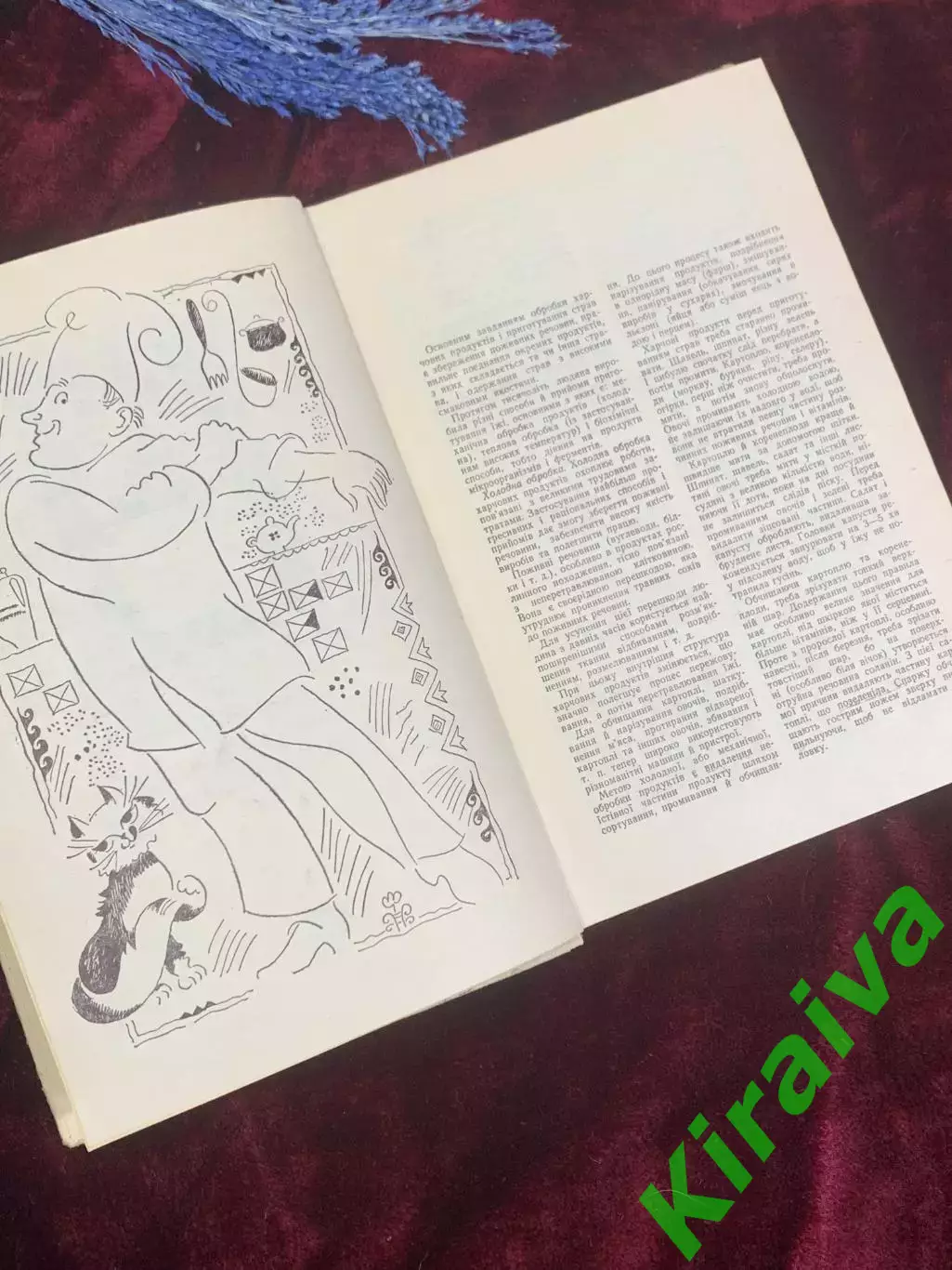 Книга кулинария «Сучасна українська кухня» С. А. Шалимов, Є. А. Шадура Н2584 4