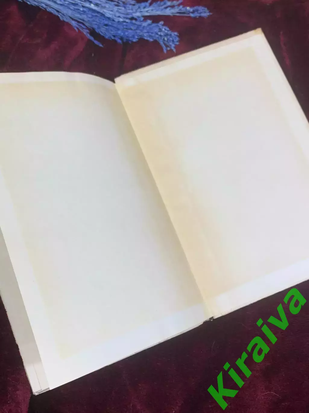 Книга кулинария «Сучасна українська кухня» С. А. Шалимов, Є. А. Шадура Н2584 6