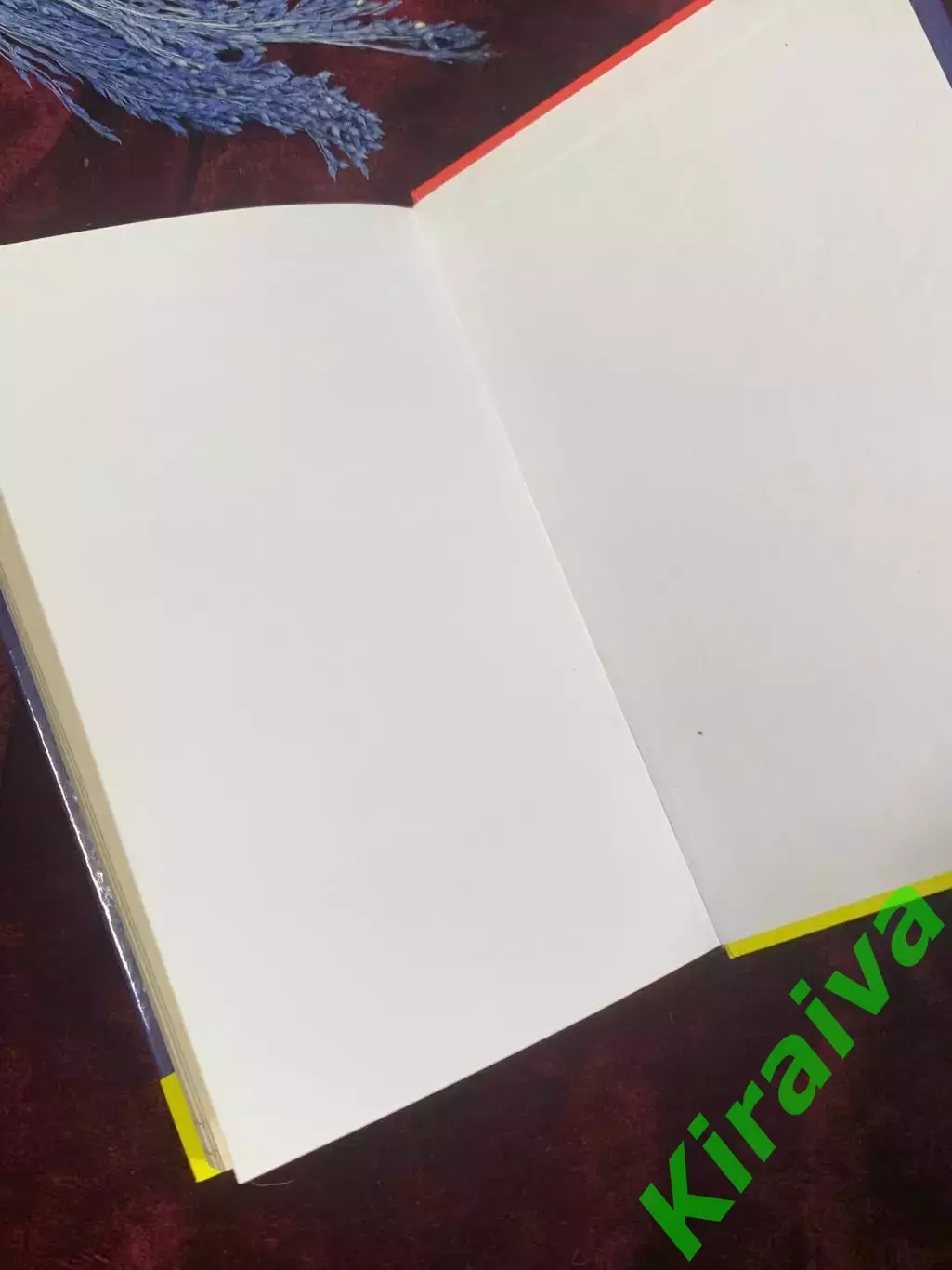 Книга-пособие «Украинский без ошибок. Абсолютная грамотность за 15 минутН2586 5