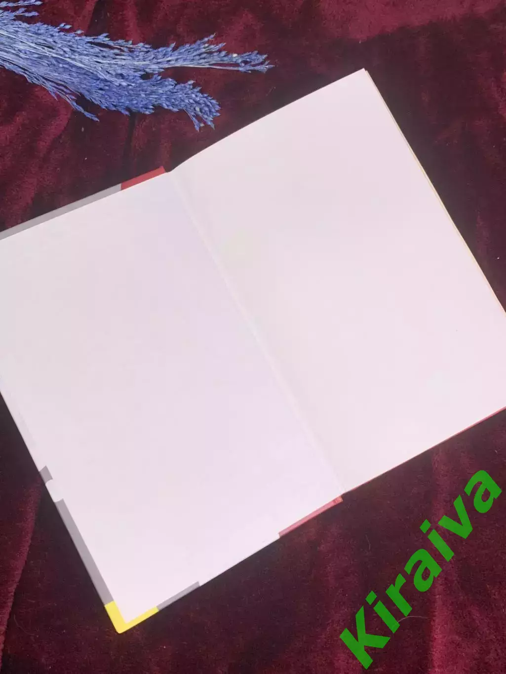 Книга психологический триллер «Мертвые» Ирэн Роздобудько, Харьков, 2006 г. Н2589 1