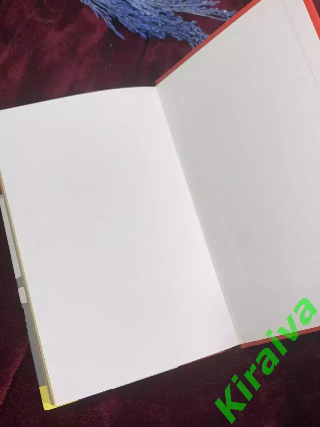 Книга психологический триллер «Мертвые» Ирэн Роздобудько, Харьков, 2006 г. Н2589 6