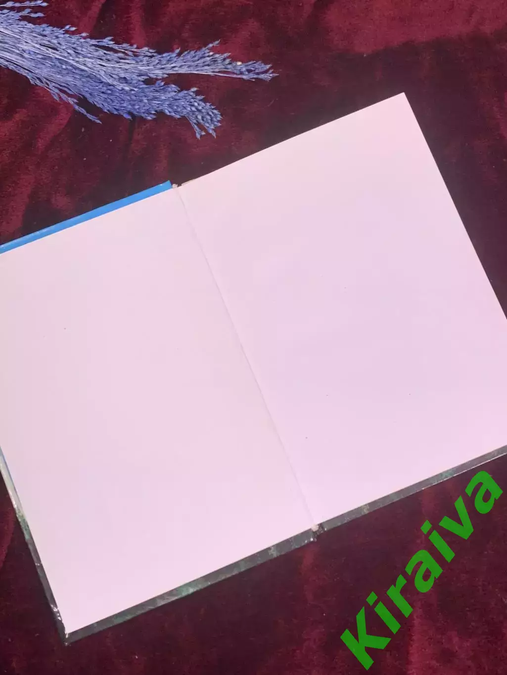 Книга учебник «Практический курс немецкого языка» Щербаня и Кушнерика 2005 Н2592 1