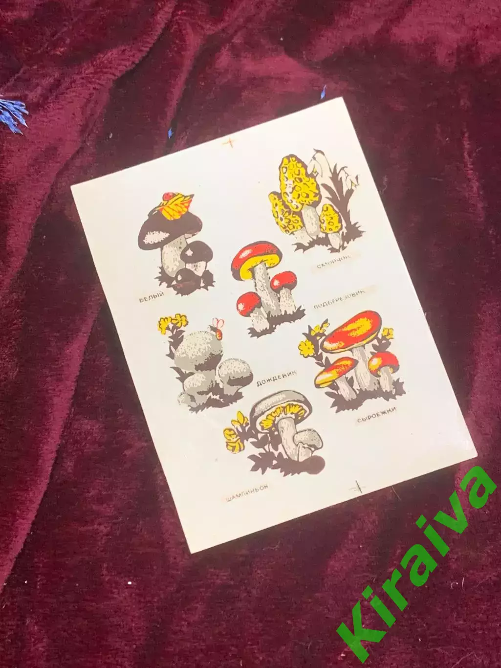 Винтажный лист переводок «Съедобные грибы» СССР, 6 изображений (Н2601)