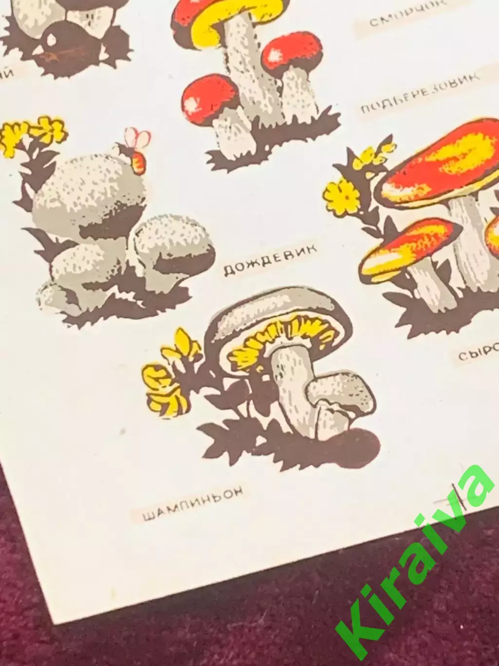 Винтажный лист переводок «Съедобные грибы» СССР, 6 изображений (Н2601) 1