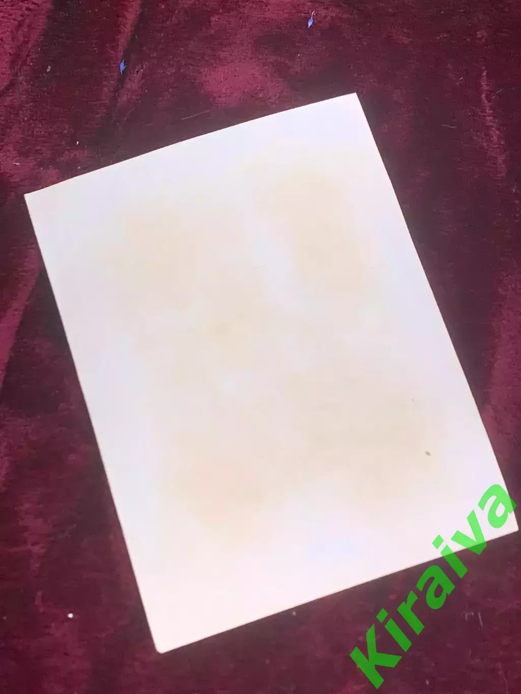 Винтажный лист переводок «Съедобные грибы» СССР, 6 изображений (Н2601) 2