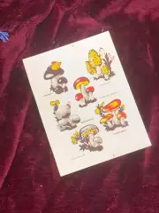 Винтажный лист переводок «Съедобные грибы» СССР, 6 изображений (Н2601)