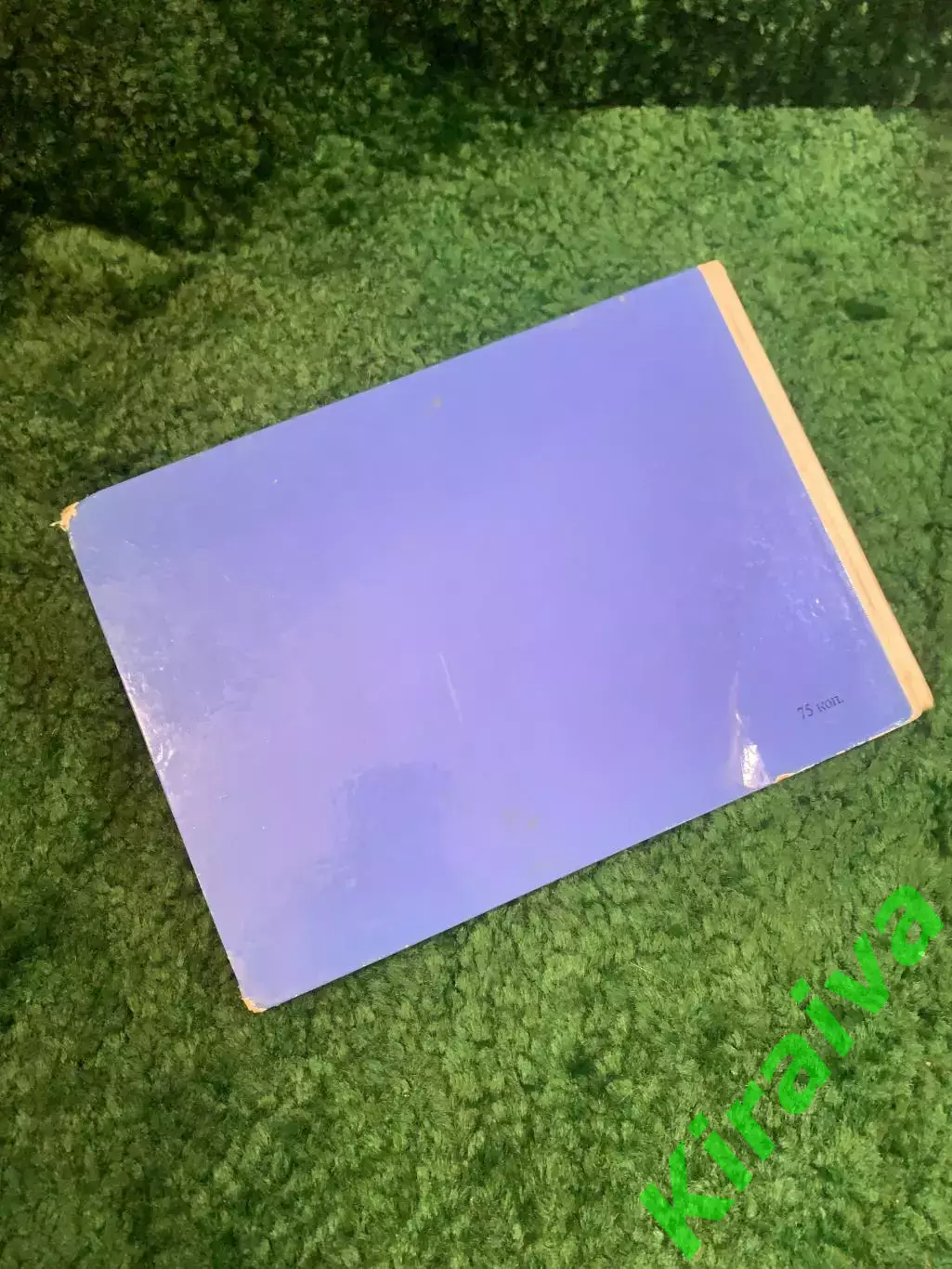 Книга детская «Крот и ракета» Зденек Милер 1965 Артия Чехия Мультик Н2775 6