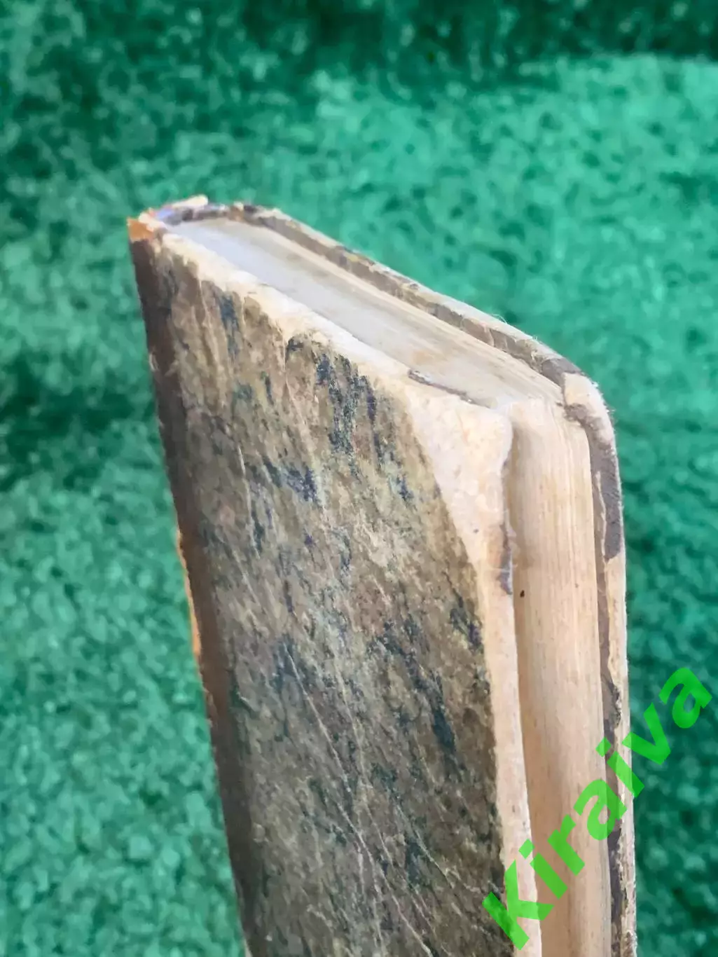 Книга антикварная «Степные очерки» Александр Левитов 1874 Москва доревол (Н2799) 6