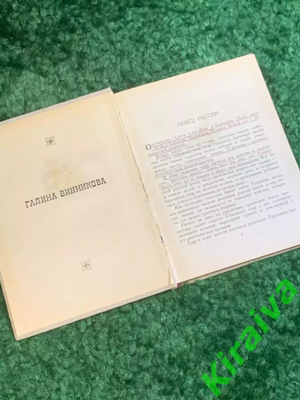 Книга литературоведения «Тургенев и Россия» Галина Винникова 1971 (Н2801 3