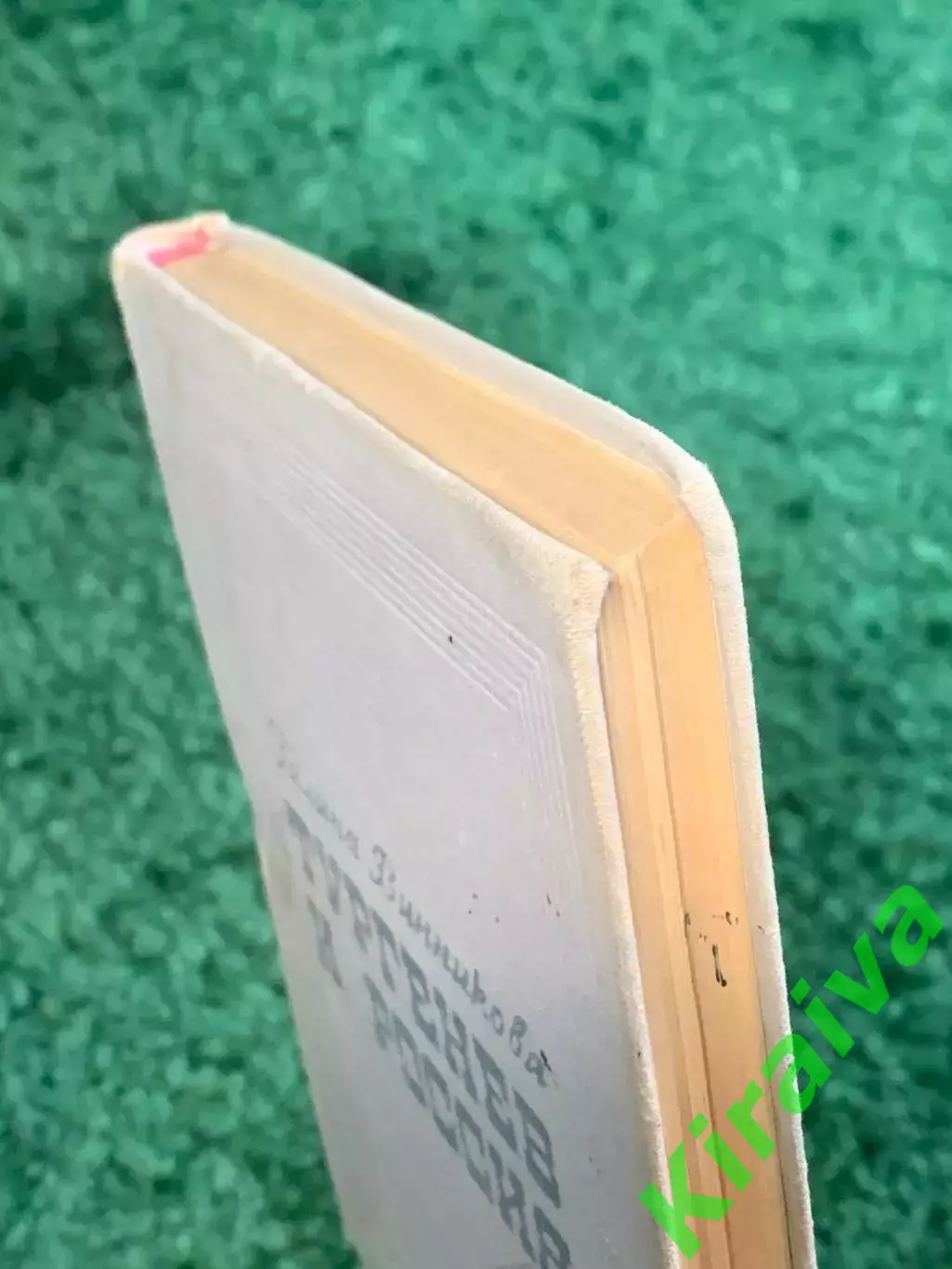 Книга литературоведения «Тургенев и Россия» Галина Винникова 1971 (Н2801 7