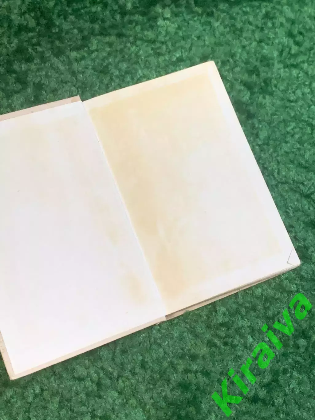 Книга медицины «Справочник врача скорой и неотложной помощи» (Н2803) 1