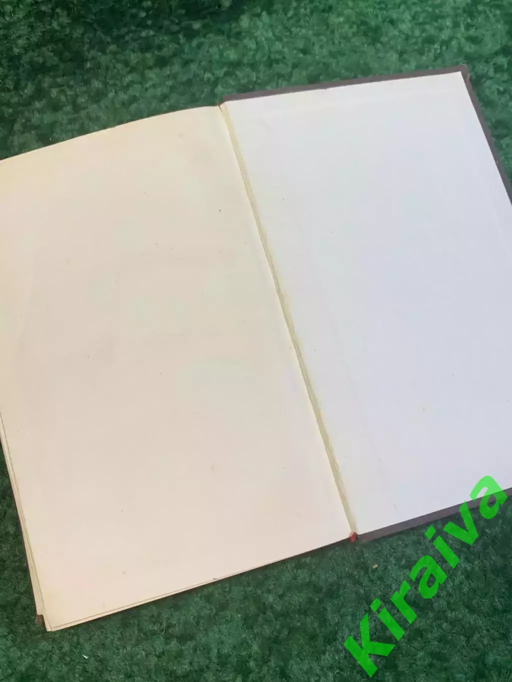 Книга роман «Обручённые» Алессандро Мандзони 1955 (Н2809) 6