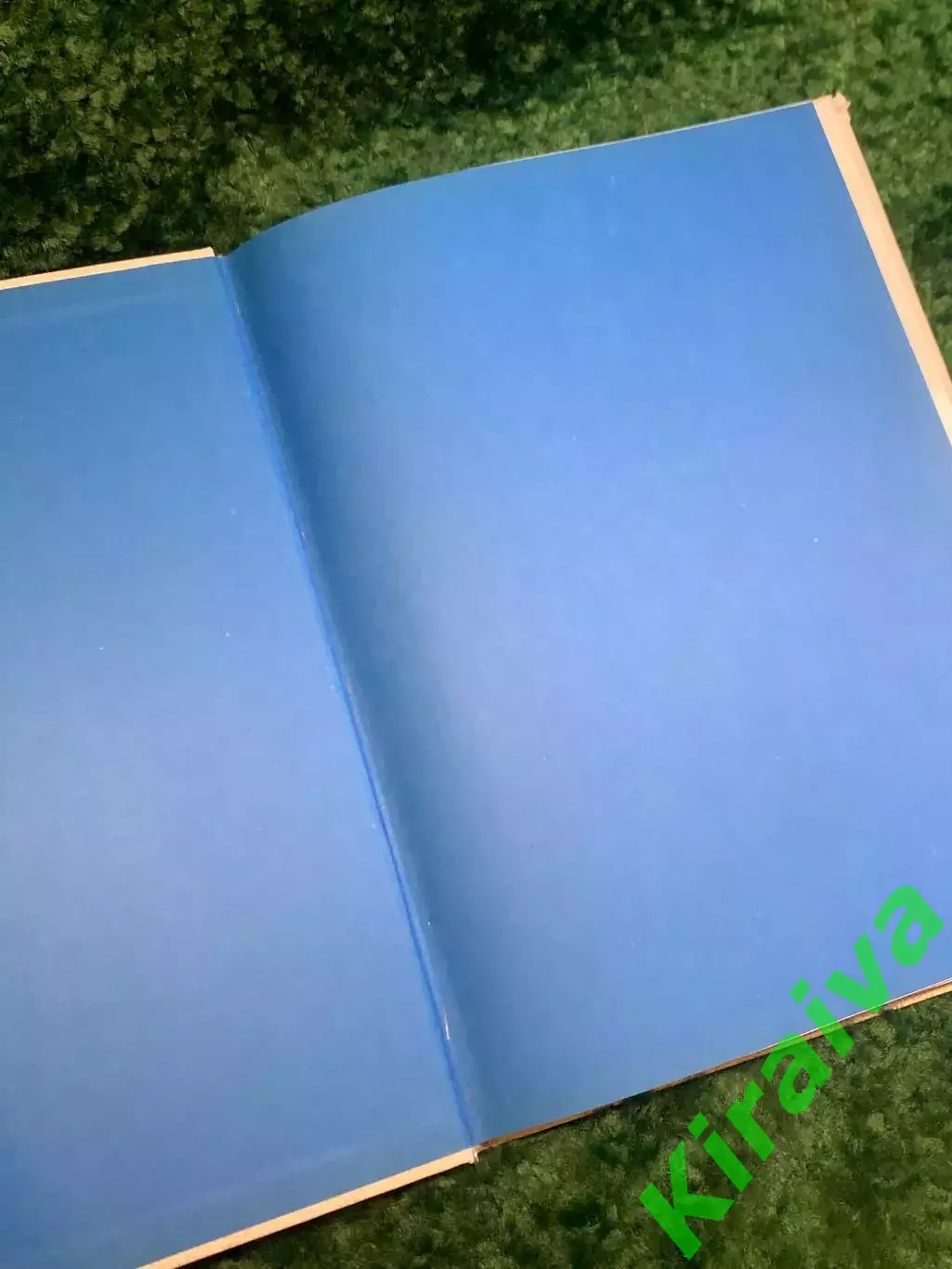 Книга методическое пособие «Ритм + Пластика» Татьяна Лисицкая 1987 (Н2834) 2