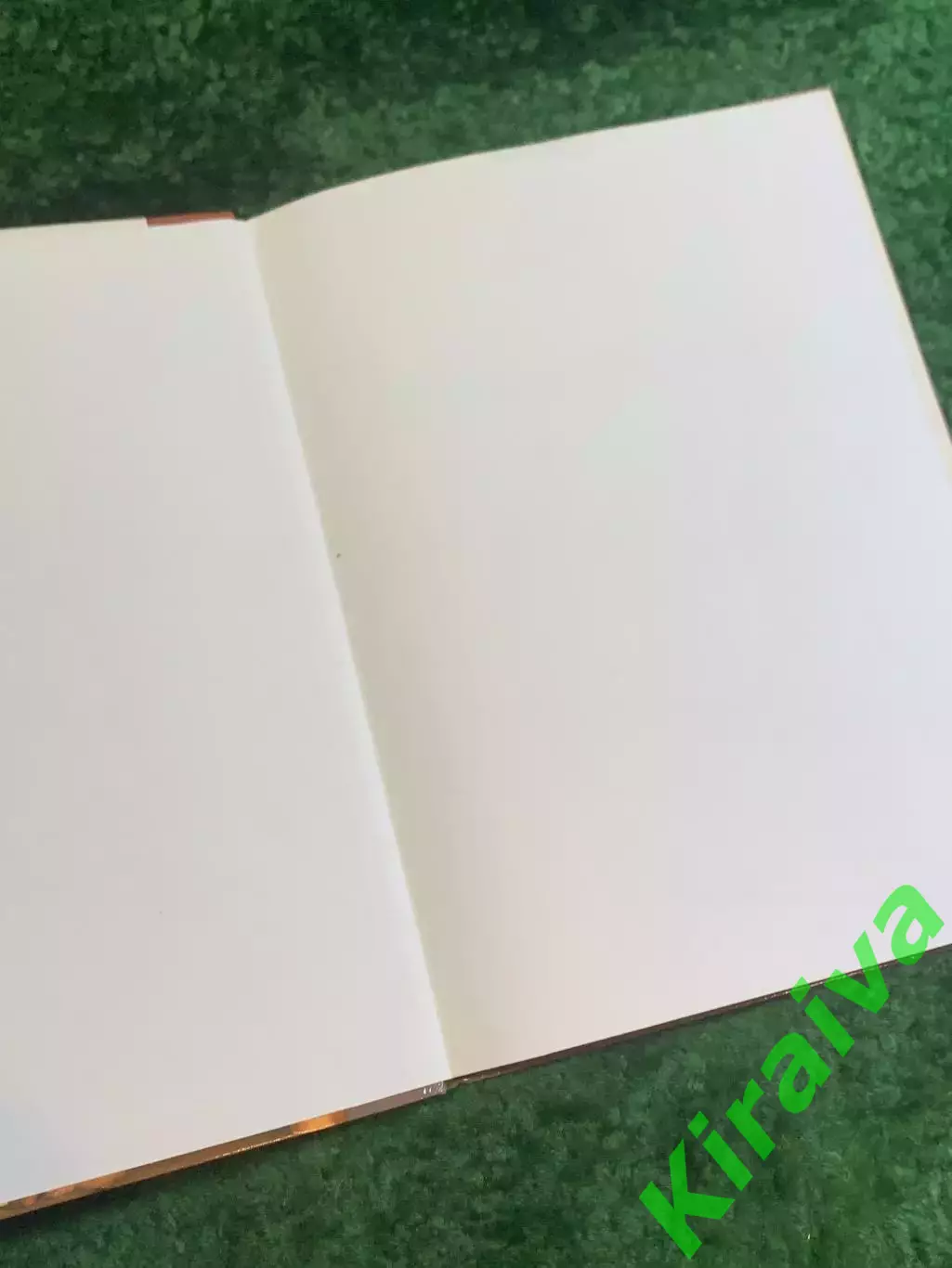 Книга альбом «Великие художники. Том 1. Рафаэль» Рафаэль Санти 2011 (Н2839) 1