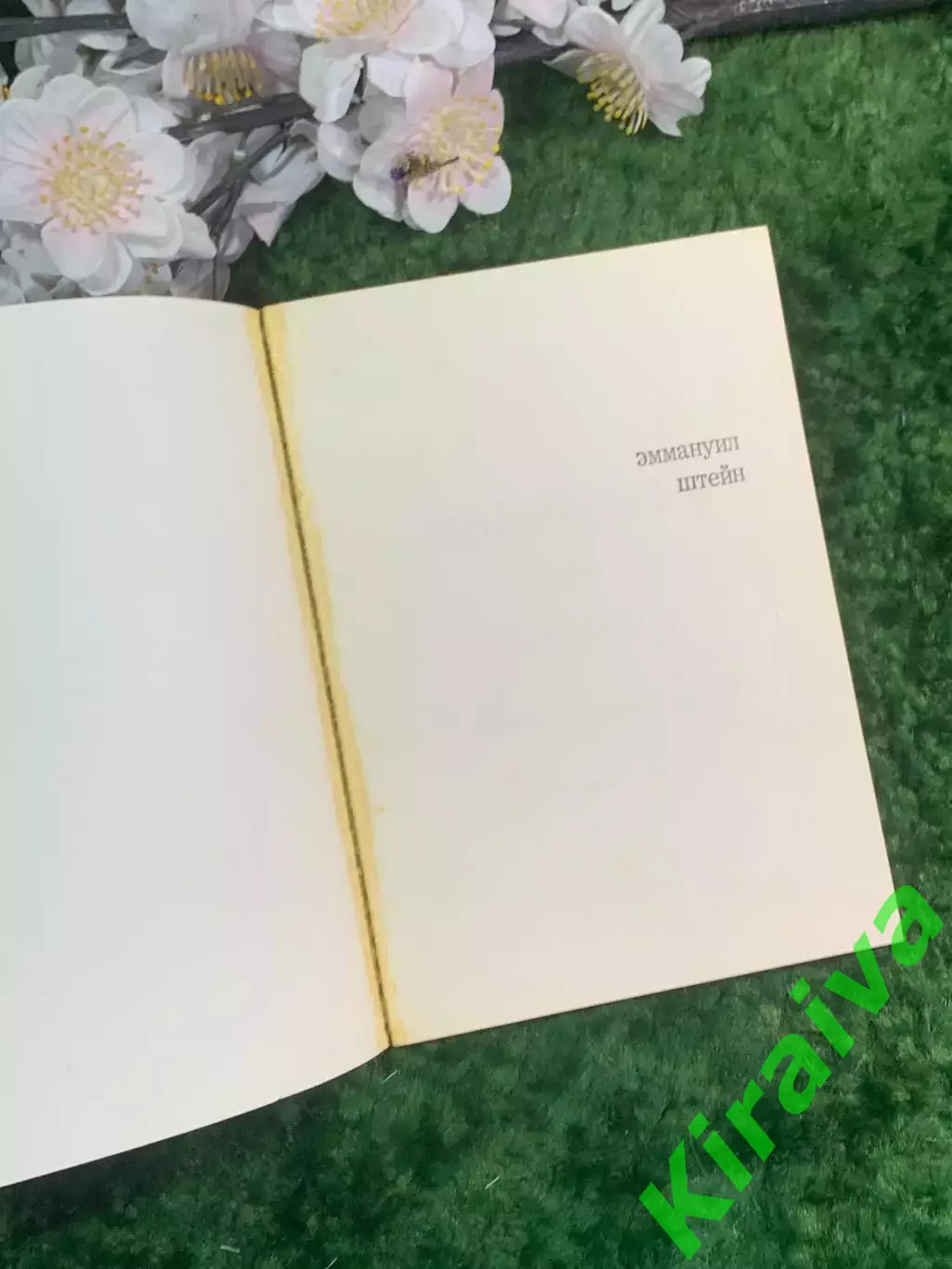 Книга поэзия «Мнемозина и Каисса» Эммануил Штейн 1973 г. (Н2953) Редкое издание 1