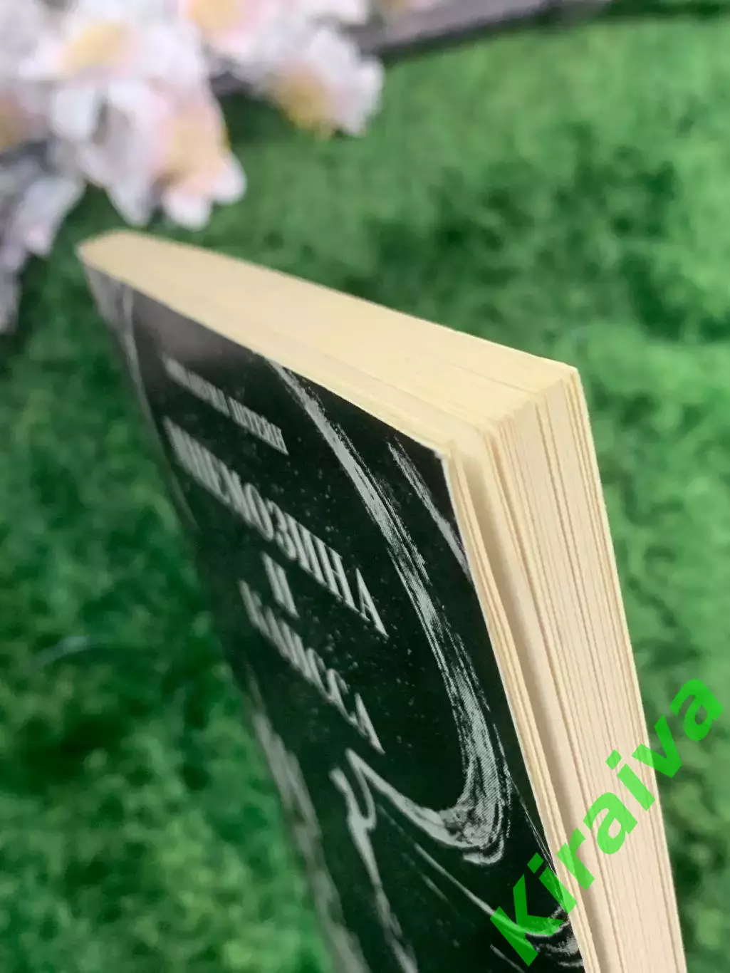 Книга поэзия «Мнемозина и Каисса» Эммануил Штейн 1973 г. (Н2953) Редкое издание 7