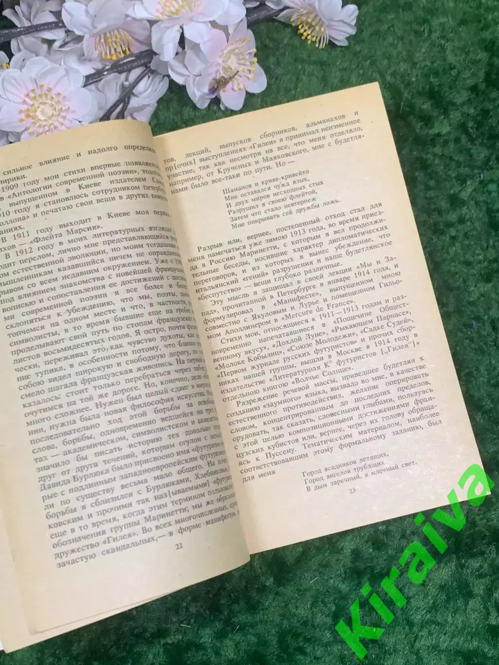 Книга мемуары «Полутораглазый стрелец» Бенедикт Лившиц 1991 г. «Забытая н2954 4