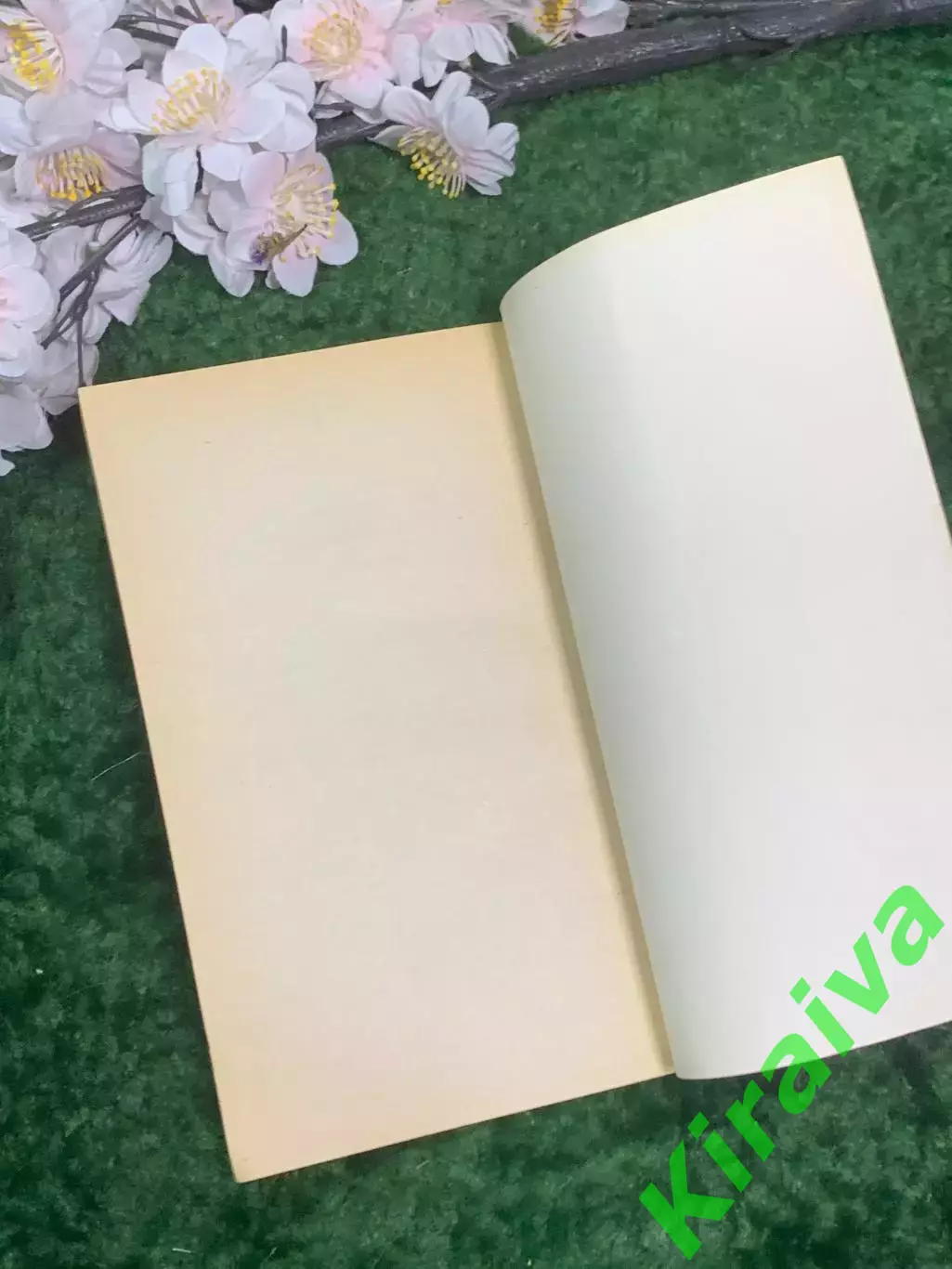 Книга мемуары «Полутораглазый стрелец» Бенедикт Лившиц 1991 г. «Забытая н2954 6