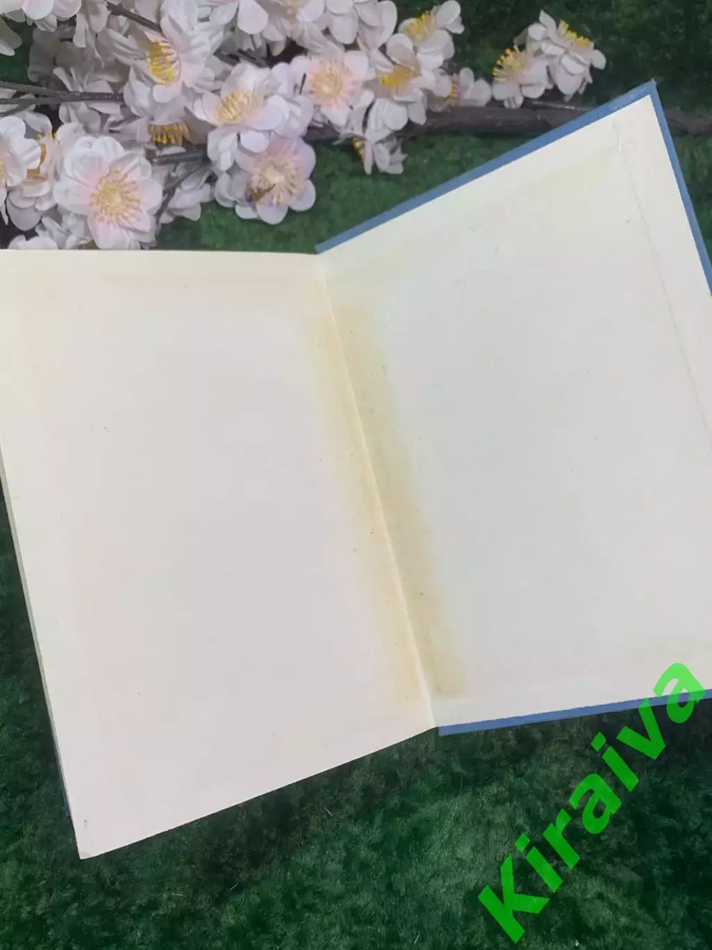 Книга роман «Моби Дик, или Белый Кит» Герман Мелвилл 1967 г. БВЛ (Н2956) 5