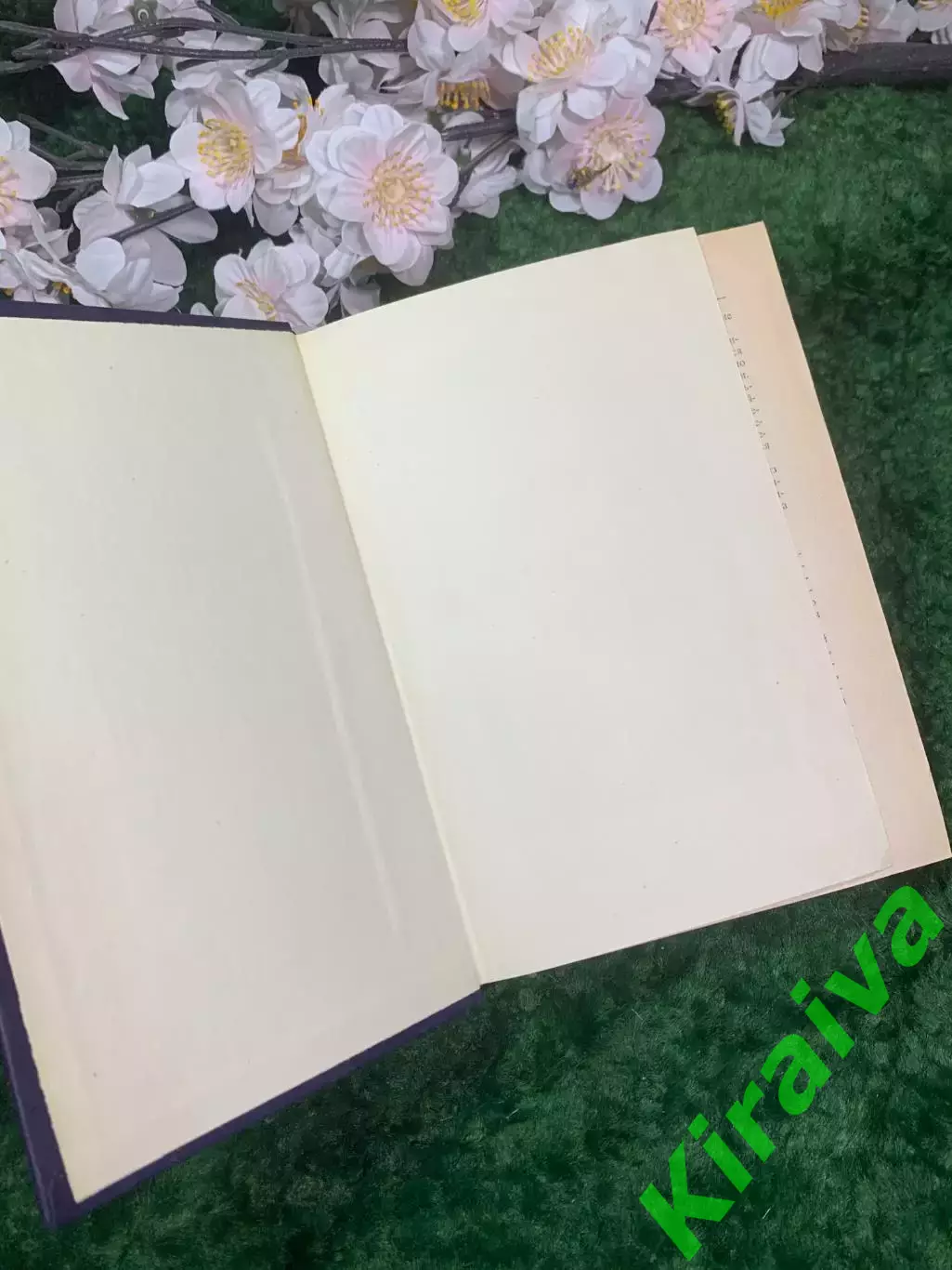Книга собрание сочинений Абрам Терц Андрей Синявский 1 том (Н2959) 1