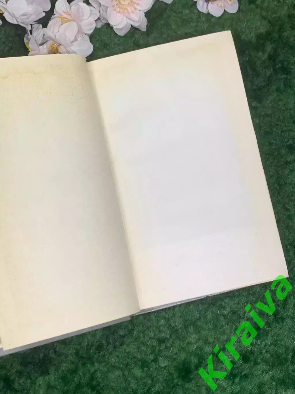 Книга повесть «Падение Кимас-озера» Геннадий Фиш (Н2973) 2