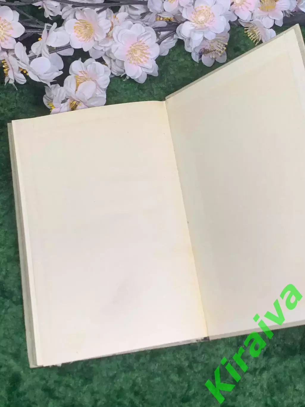 Книга «Как самому снять и показать кинофильм» Н. Н. Кудряшов 1961 г. (Н2974) 7