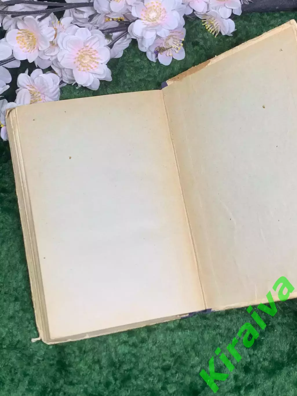 Книга повесть «Третье лето» Борис Черемисин 1951 г. (Н2975) 7