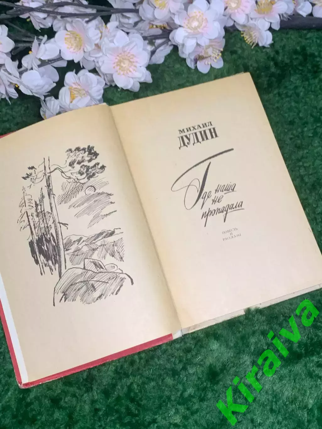 Книга повесть и рассказы «Где наша не пропадала» Михаил Дудин 1979 г. (Н2978) 3