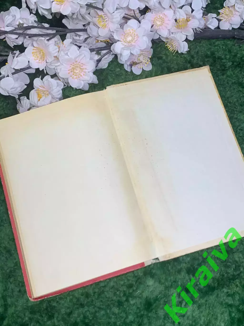 Книга повесть и рассказы «Где наша не пропадала» Михаил Дудин 1979 г. (Н2978) 5