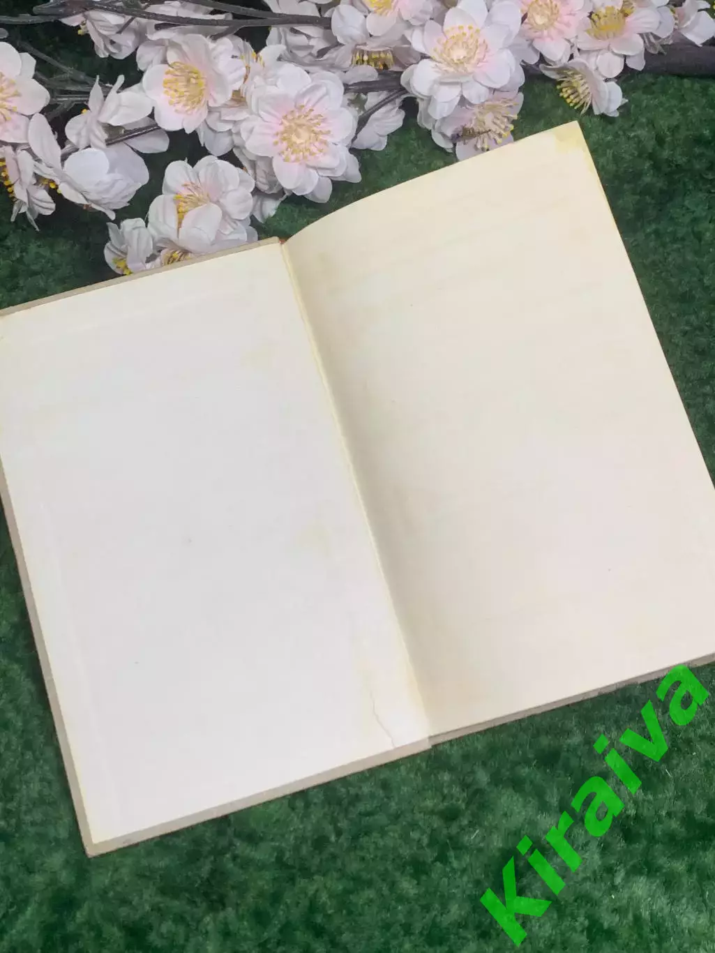 Книга повесть «Повесть о суровом друге» Леонид Жариков 1971 г. (Н2981) 1